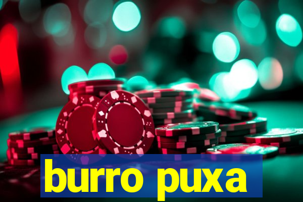 burro puxa